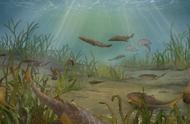 重庆挖掘出4.23亿年前的神秘物种，为人类进化史揭开新篇章
