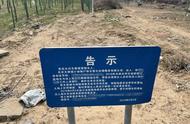北京大兴宠物墓园荒芜，专家呼吁无害化处理新趋势