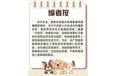 杭州宠物友好公园全新观察：带上爱宠尽享欢乐时光