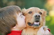 养宠物狗：为孩子带来无限欢乐与成长